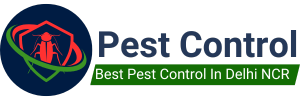 Pest Control In Delhi